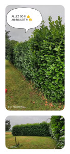 Photo de galerie - Avant 