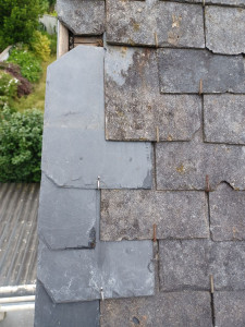 Photo de galerie - Réparation rives