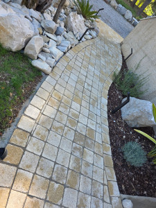 Photo de galerie - Création d'un chemin en pavés