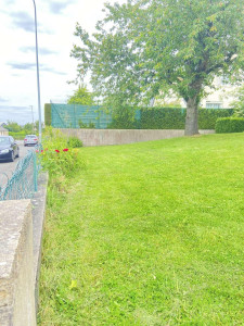 Photo de galerie - Tonte pelouse 