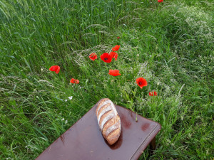 Photo de galerie - Bricolage et multi services