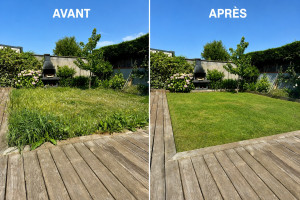 Photo de galerie - ? Remise en état complète de cette pelouse avec tonte, nettoyage et remise au propre du jardin.