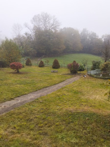 Photo de galerie - Entretien et taille d'un parc dont je réalise à l'année