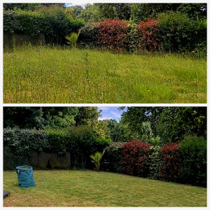 Photo de galerie - Avant et après 