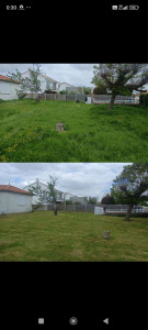 Photo de galerie - Débroussaillage d’un jardin