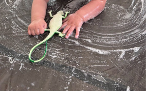 Photo de galerie - Proposition d'activité 