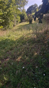 Photo de galerie - Avant 
