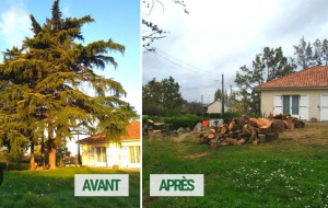 Photo de galerie - Avant et après 