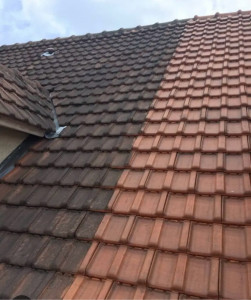 Photo de galerie - Couverture - Toiture