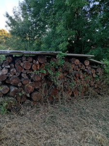 Photo de galerie - Bois disponible pour la saison a venir