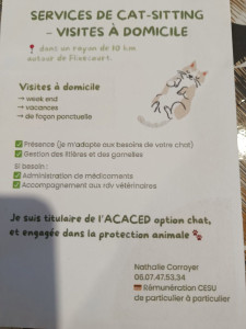 Photo de galerie - Services de cat-sitter à domicile