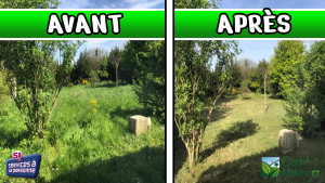 Photo de galerie - Débroussaillage et finition de +1000m2