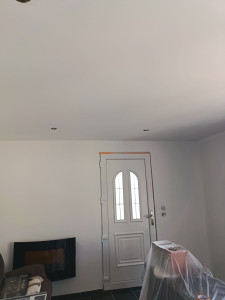 Photo de galerie - Rénovation toiture 
