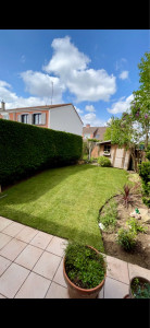 Photo de galerie - Taille de Haie et pose d’un gazon Naturel