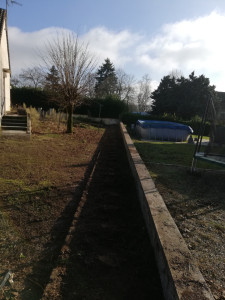 Photo de galerie - Taille de haies et d'arbustes