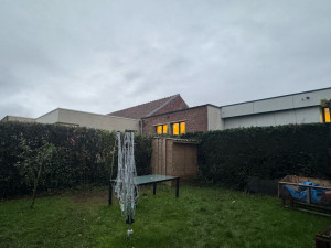 Photo de galerie - Taille de haies et d'arbustes