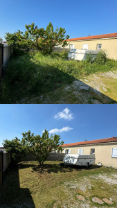 Photo de galerie - Tonte de pelouse - Débroussaillage