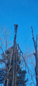 Photo de galerie - Démontage avec rétention .