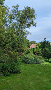 Photo de galerie - Tonte de pelouse - Débroussaillage