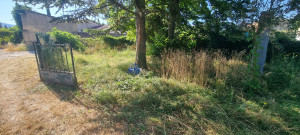 Photo de galerie - Photo prise avant Débroussaillage 