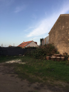 Photo de galerie - .