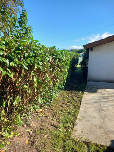 Photo de galerie - Espaces verts 