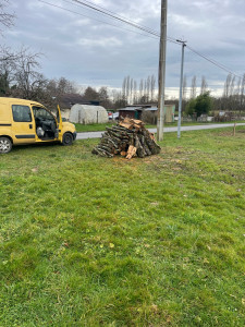 Photo de galerie - Abattage