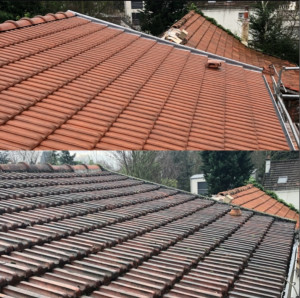 Photo de galerie - Avant / après 