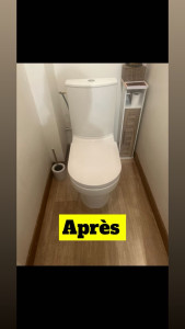 Photo de galerie - Remplacement wc