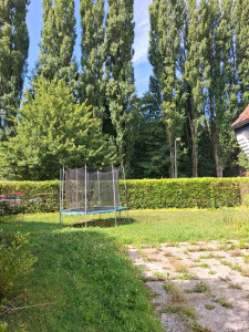 Photo de galerie - Taille haie