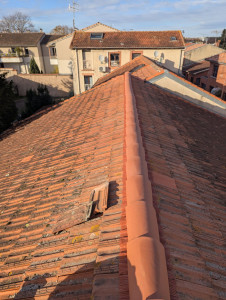 Photo de galerie - Réfection d'un faîtage 