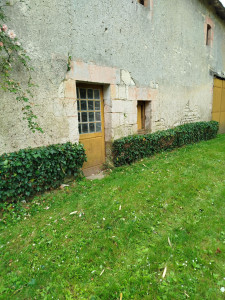 Photo de galerie - Taille de haies et d'arbustes