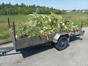 Photo de galerie - Évacuation déchets - Gravats