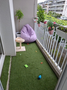 Photo de galerie - Petit espace fraîcheur pour nos petits compagnons ❤️ 