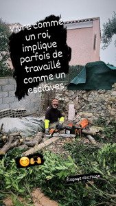 Photo de galerie - Abbatage de micocoulier