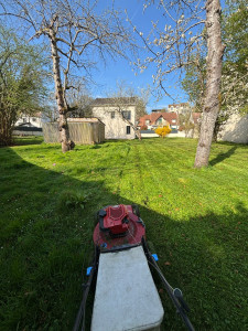 Photo de galerie - Tonte de pelouse - coupe des bordures. (Bievre 91)