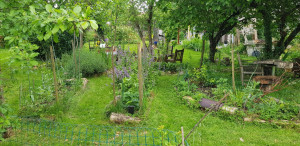 Photo de galerie - Un verger potager 