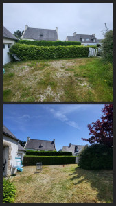 Photo de galerie - Taille d’une haie