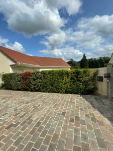 Photo de galerie - Taille de haies et d'arbustes