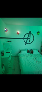 Photo de galerie - Peinture - Tapisserie