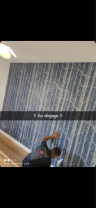 Photo de galerie - Detapissage 