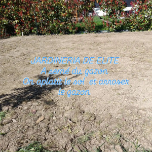 Photo de galerie - J' ai semé le gazon je aplatit le sol avec un rouleau gazon et après on arrose le Sol 