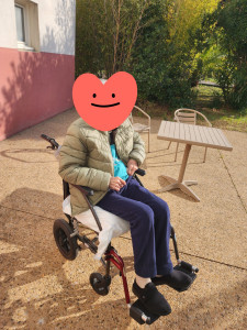 Photo de galerie - Promenade avec le soleil 