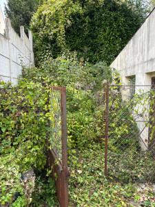 Photo de galerie - Tonte de pelouse - Débroussaillage