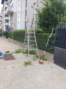 Photo de galerie - Jardinier élagueur 
