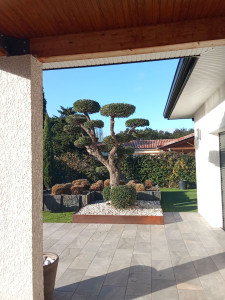 Photo de galerie - Taille en nuage 