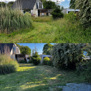 Photo de galerie - Tonte de pelouse - Débroussaillage