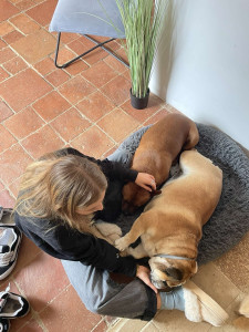 Photo de galerie - ?