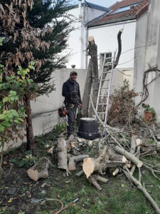 Photo de galerie - élagage 