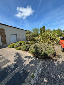 Photo de galerie - Jardinier